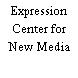 Expression Center for New Media