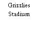 Grizzlies Stadium