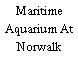 Maritime Aquarium At Norwalk