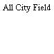 All City Field