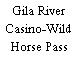 Gila River Casino-Wild Horse Pass