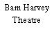 Bam Harvey Theatre