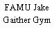 FAMU Jake Gaither Gym