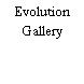 Evolution Gallery