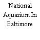 National Aquarium In Baltimore
