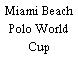 Miami Beach Polo World Cup