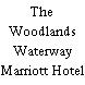 The Woodlands Waterway Marriott Hotel & Convention Center