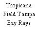 Tropicana Field Tampa Bay Rays