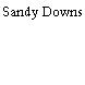 Sandy Downs