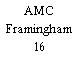 AMC Framingham 16