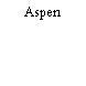 Aspen