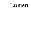 Lumen