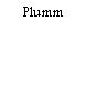 Plumm