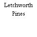 Letchworth Pines