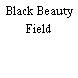 Black Beauty Field