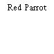 Red Parrot