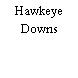 Hawkeye Downs