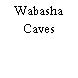 Wabasha Caves