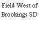 Field West of Brookings SD