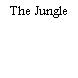 The Jungle