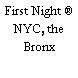 First Night ® NYC, the Bronx
