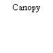 Canopy