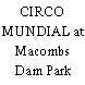 CIRCO MUNDIAL at Macombs Dam Park