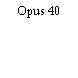 Opus 40