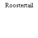 Roostertail