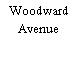 Woodward Avenue