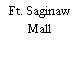 Ft. Saginaw Mall