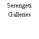 Serengeti Galleries