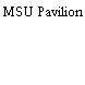MSU Pavilion