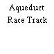 Aqueduct Race Track