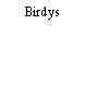 Birdys