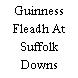 Guinness Fleadh At Suffolk Downs