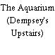 The Aquarium (Dempsey's Upstairs)