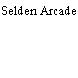 Selden Arcade