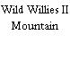 Wild Willies II Mountain