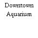 Downtown Aquarium