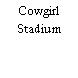 Cowgirl Stadium