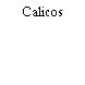 Calicos
