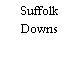 Suffolk Downs