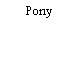 Pony
