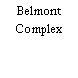 Belmont Complex