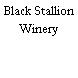 Black Stallion Winery