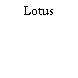 Lotus