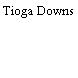 Tioga Downs