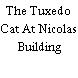 The Tuxedo Cat At Nicolas Building