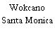 Wokcano Santa Monica